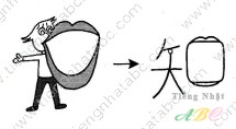 cách nhớ hán tự từ TRI ( 知)