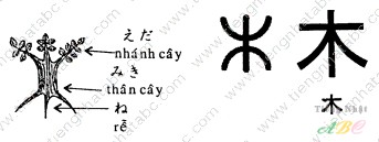 cách nhớ hán tự từ 