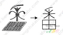 cách nhớ hán tự từ PHIÊN ( 番)