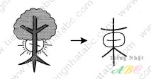 cách nhớ hán tự từ ĐÔNG ( 東)